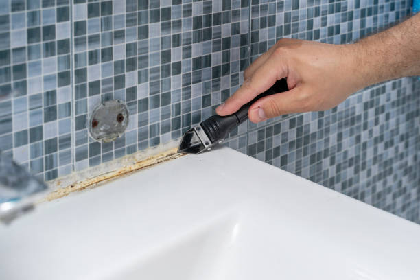 Best Home Mold Removal  in Kingsley, MI